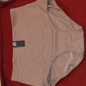 Shapeware panty brief